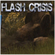 Flash Crisis