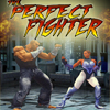 The Perfect Fighter