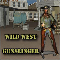 Wild West Gunslinger 3D