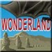 Wonderland is an unusual world with its improbable nature and fantastic monsters. You have to pass through this Wonder Land and fight against dangerous monsters.