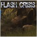 Flash Crisis