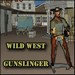 Wild West Gunslinger 3D